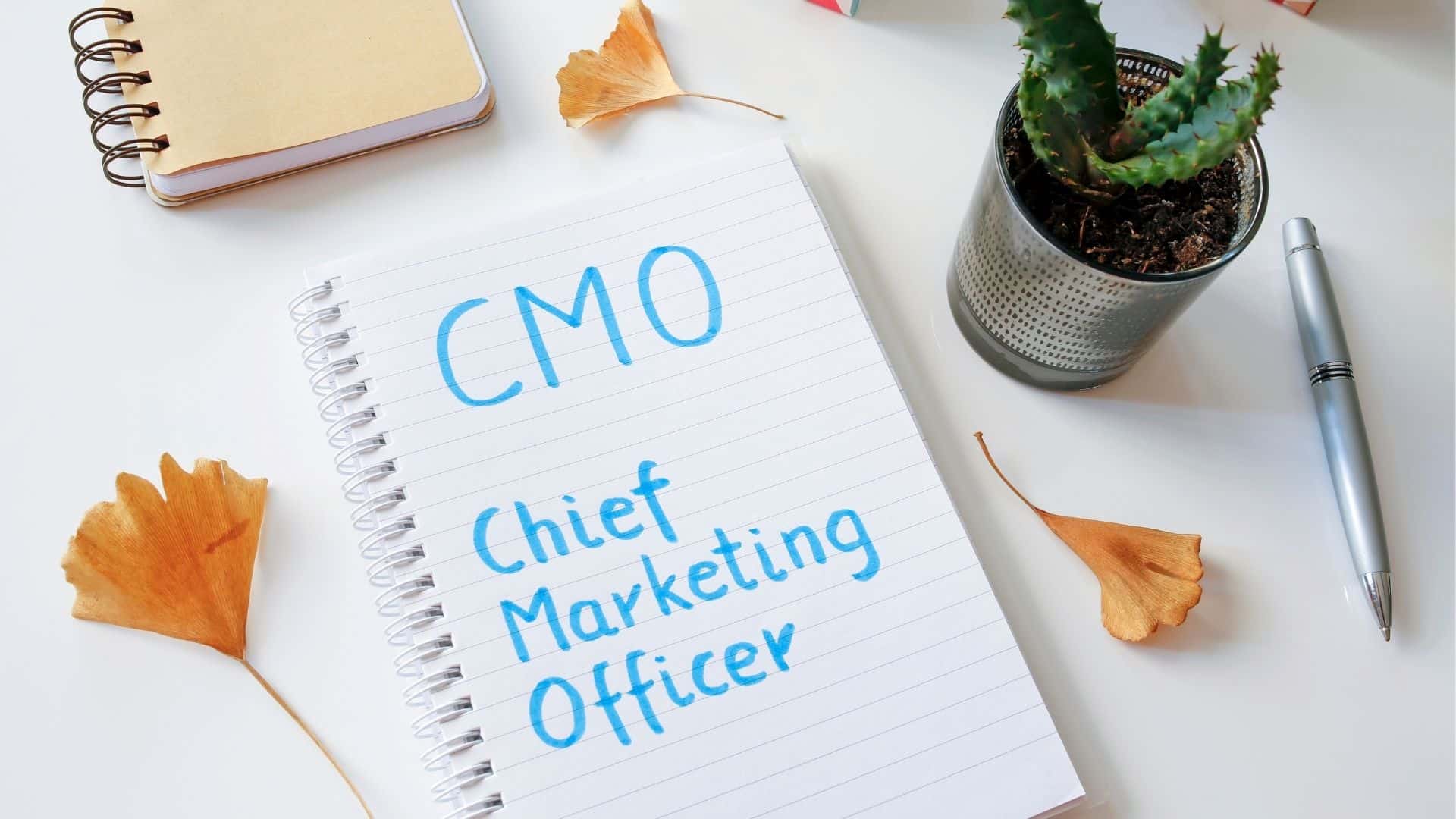 Part Time Cmo