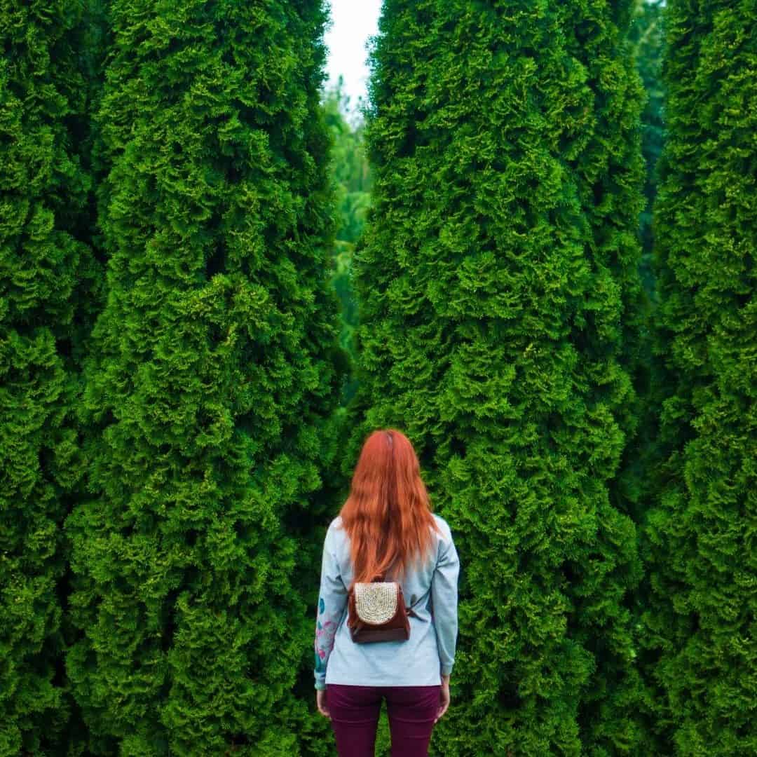 Evergreen Marketing: The Timeless Way to Boost Your Business