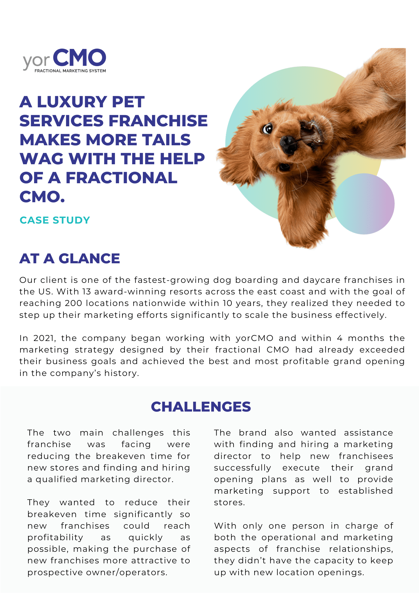 LuxuryPetHotel-CaseStudy (5)