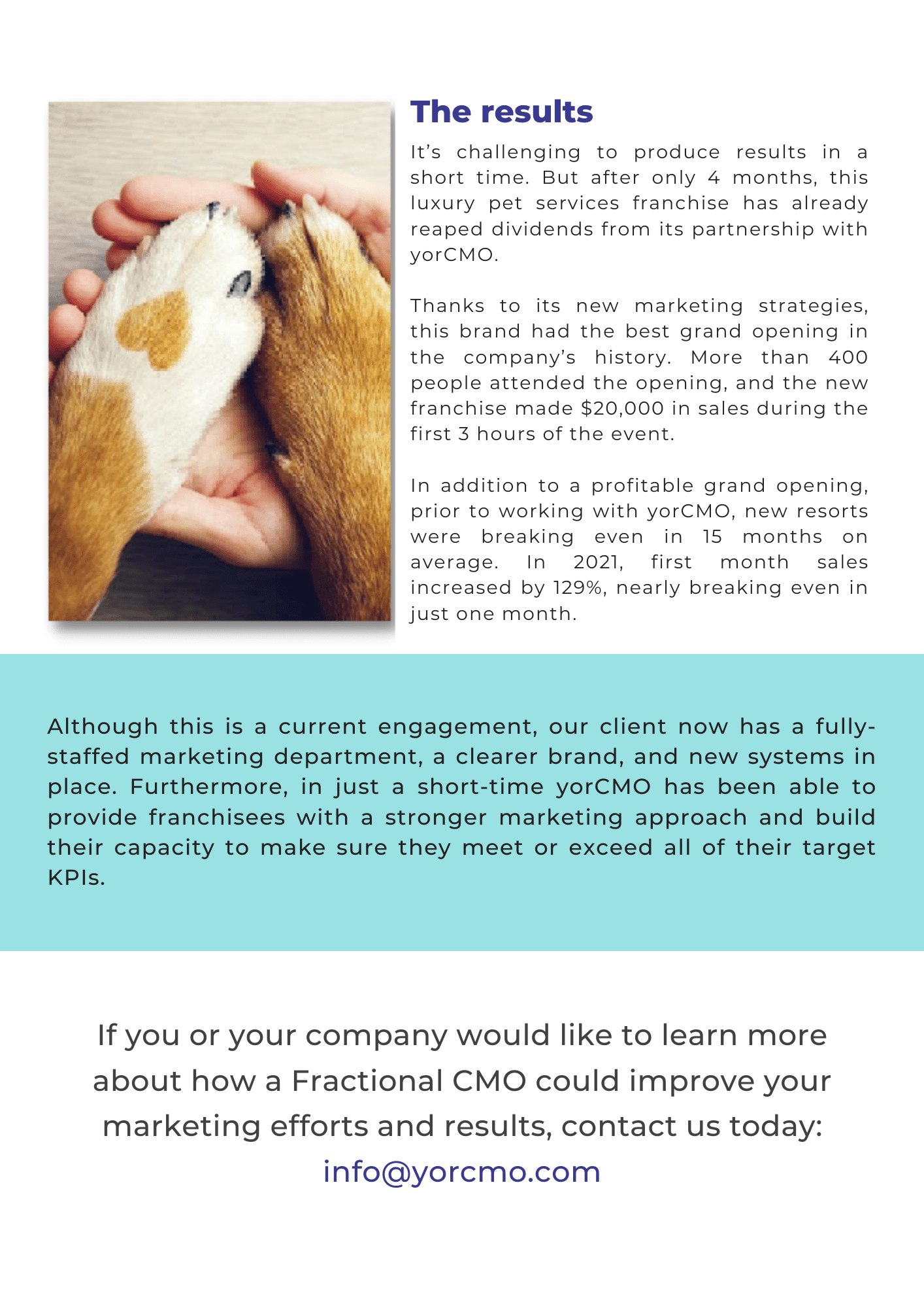 LuxuryPetHotel-CaseStudy (7)